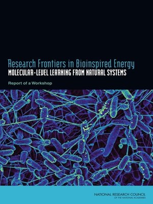 cover image of Research Frontiers in Bioinspired Energy